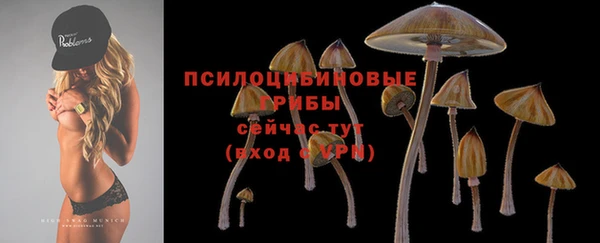 ALPHA PVP Заводоуковск