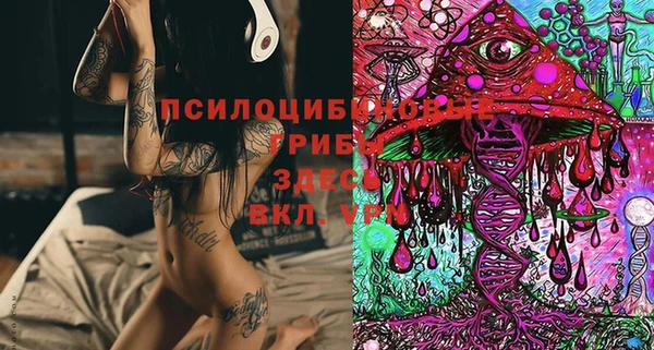 ALPHA PVP Заводоуковск